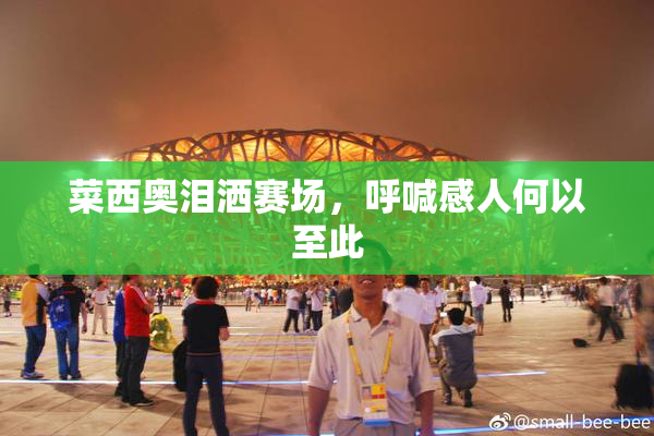 菜西奥泪洒赛场，呼喊感人何以至此
