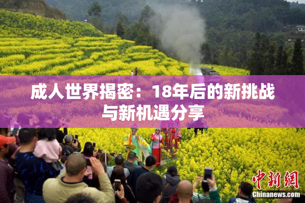 成人世界揭密：18年后的新挑战与新机遇分享