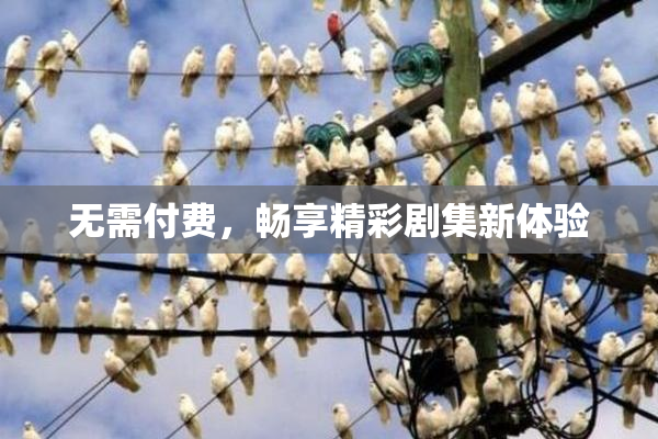 无需付费，畅享精彩剧集新体验