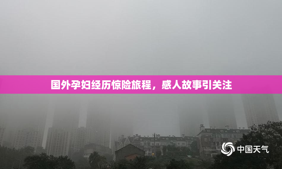 国外孕妇经历惊险旅程，感人故事引关注