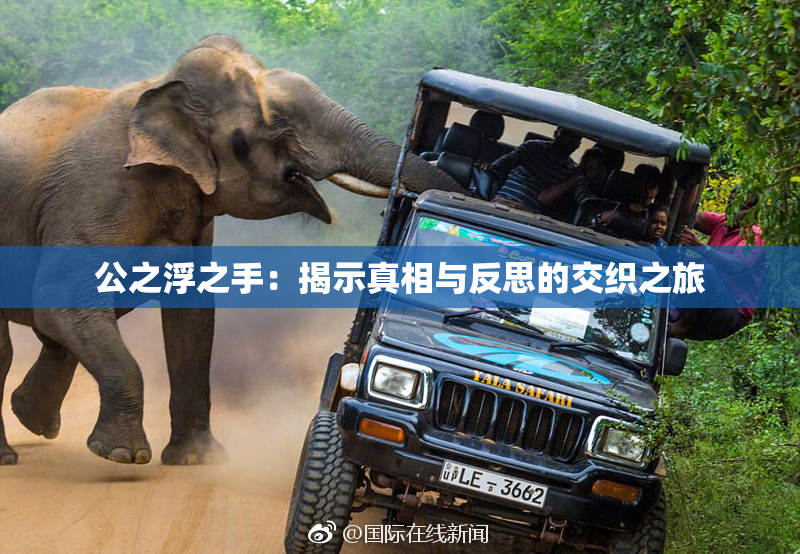 公之浮之手：揭示真相与反思的交织之旅