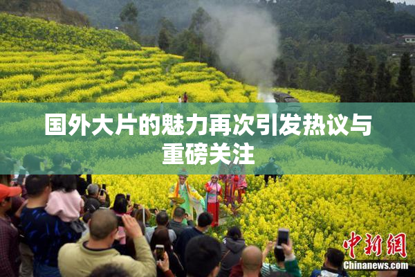 国外大片的魅力再次引发热议与重磅关注