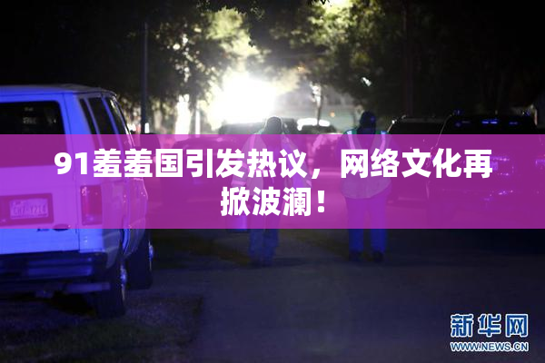 91羞羞国引发热议，网络文化再掀波澜！