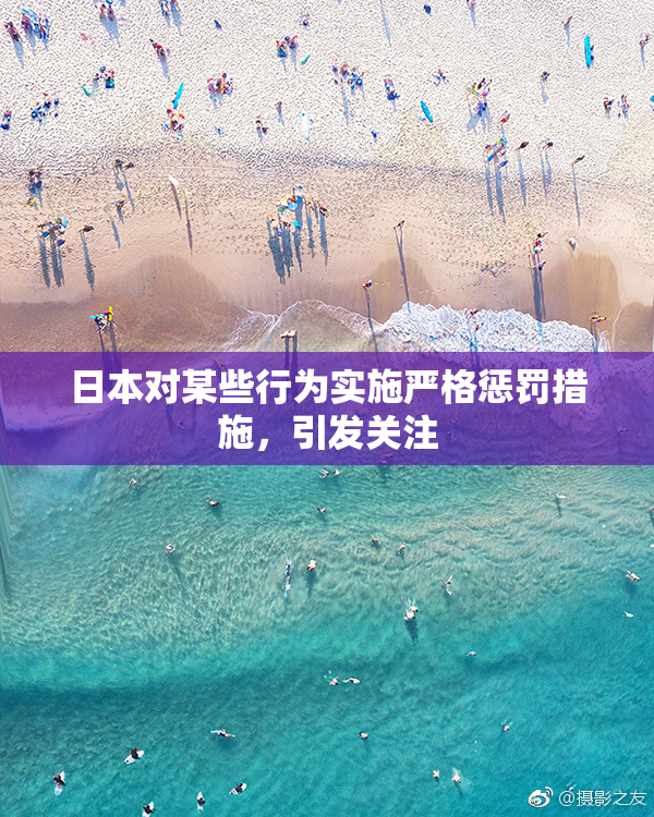 日本对某些行为实施严格惩罚措施，引发关注