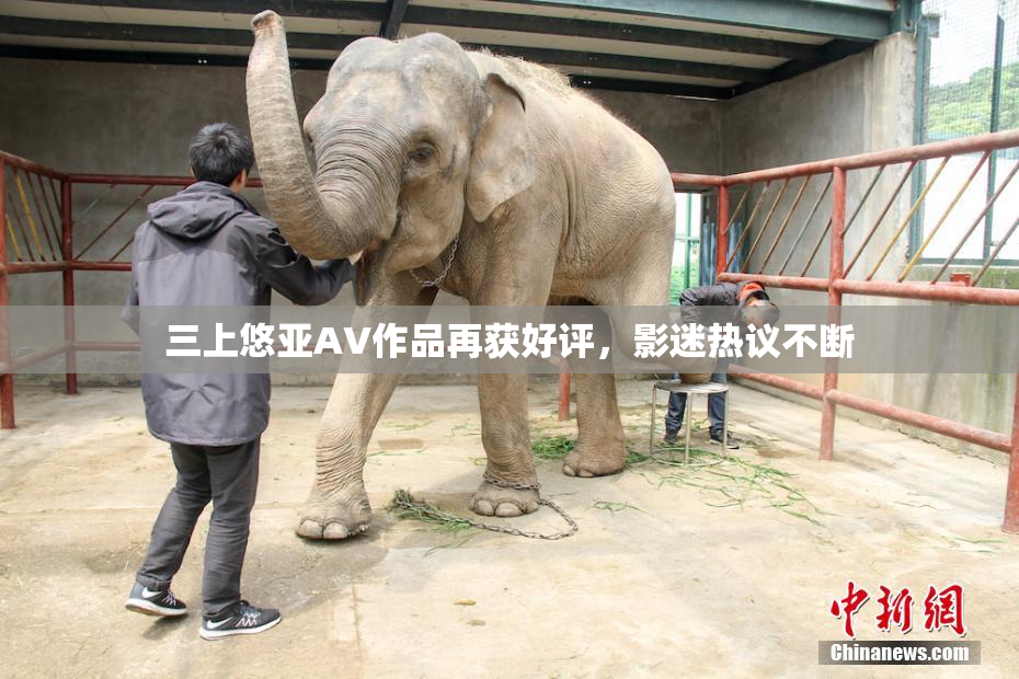 三上悠亚AV作品再获好评，影迷热议不断