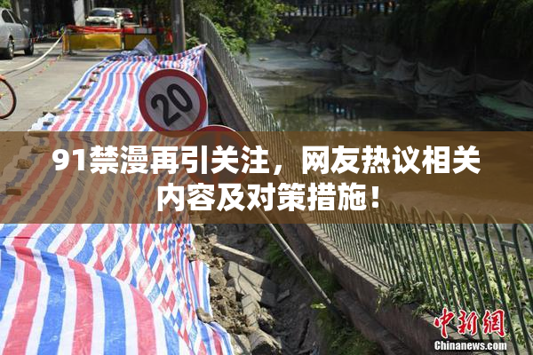 91禁漫再引关注，网友热议相关内容及对策措施！