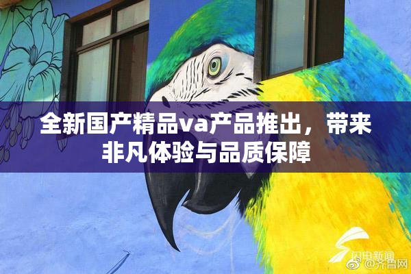 全新国产精品va产品推出，带来非凡体验与品质保障