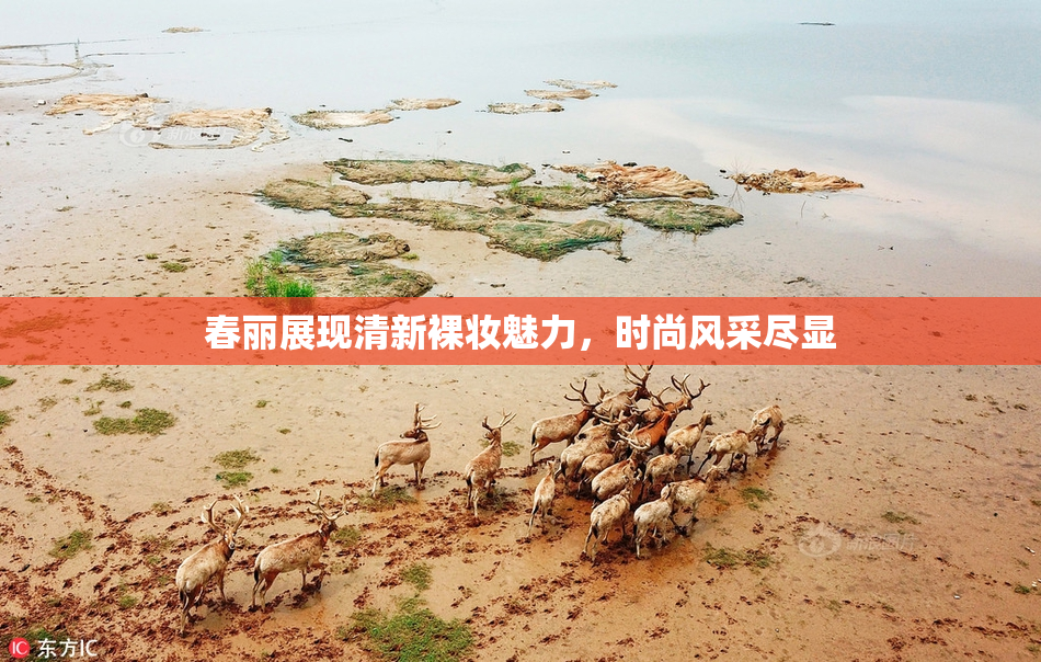 春丽展现清新裸妆魅力，时尚风采尽显