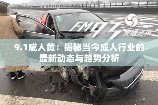 9.1成人黄：揭秘当今成人行业的最新动态与趋势分析
