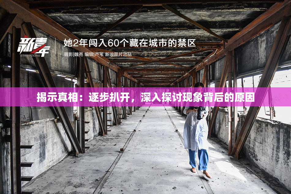 揭示真相：逐步扒开，深入探讨现象背后的原因
