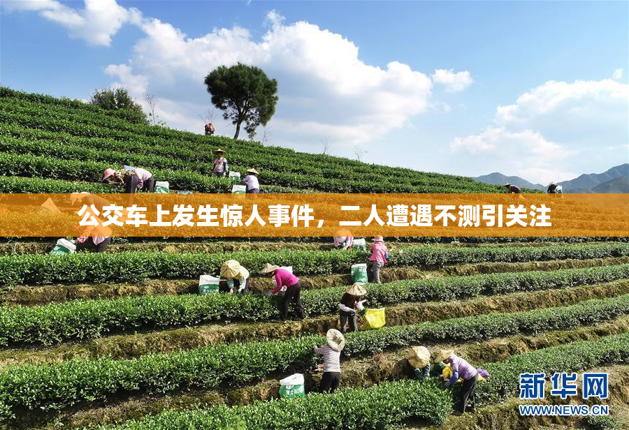 公交车上发生惊人事件，二人遭遇不测引关注
