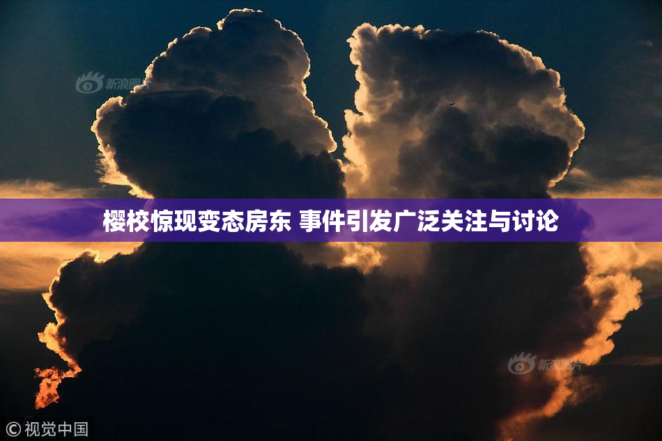 樱校惊现变态房东 事件引发广泛关注与讨论