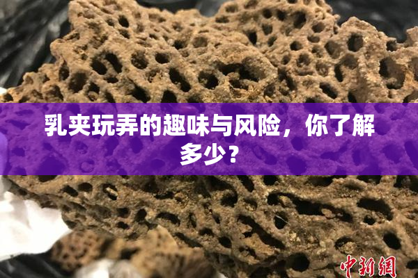 乳夹玩弄的趣味与风险，你了解多少？