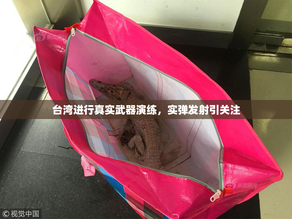台湾进行真实武器演练，实弹发射引关注