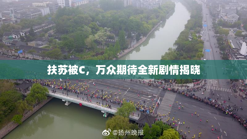 扶苏被C，万众期待全新剧情揭晓