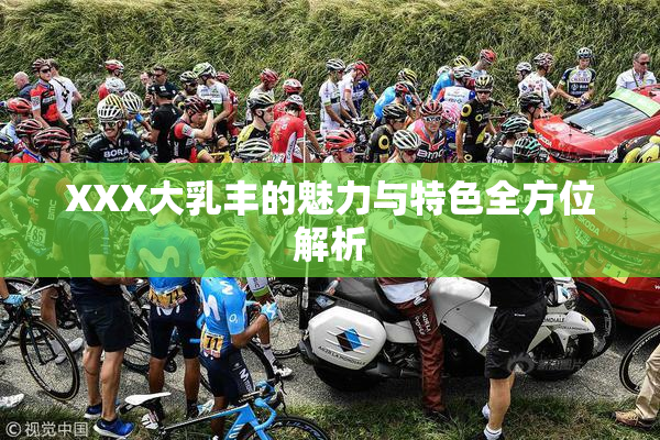 XXX大乳丰的魅力与特色全方位解析