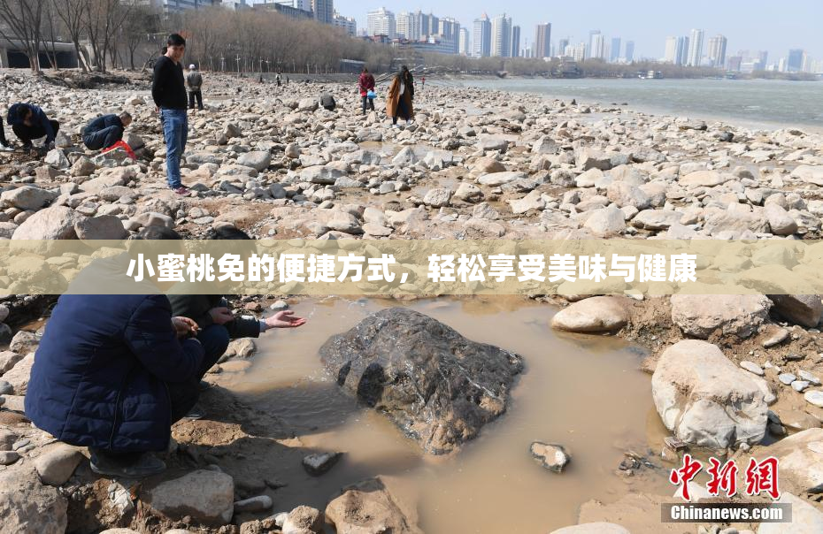 小蜜桃免的便捷方式，轻松享受美味与健康