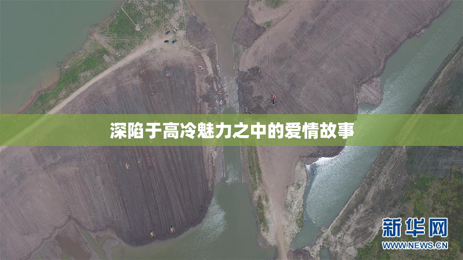深陷于高冷魅力之中的爱情故事