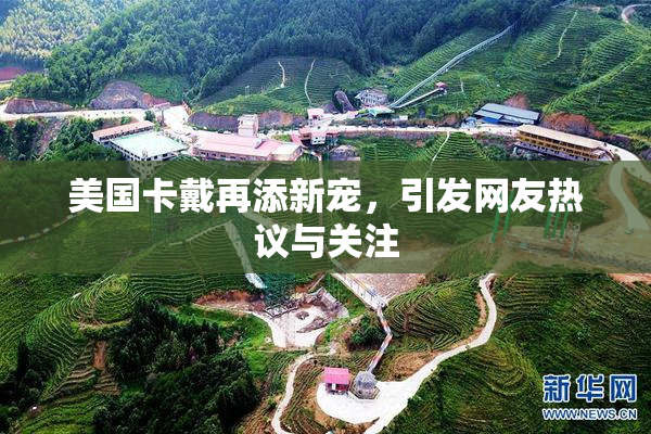 美国卡戴再添新宠，引发网友热议与关注