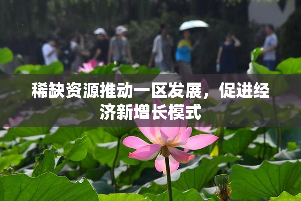 稀缺资源推动一区发展，促进经济新增长模式
