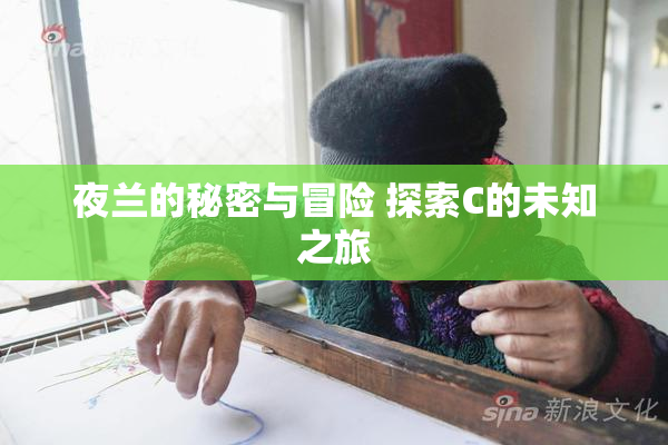 夜兰的秘密与冒险 探索C的未知之旅