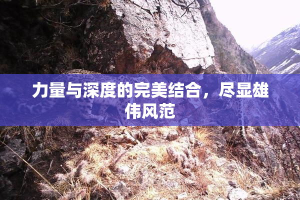 力量与深度的完美结合，尽显雄伟风范
