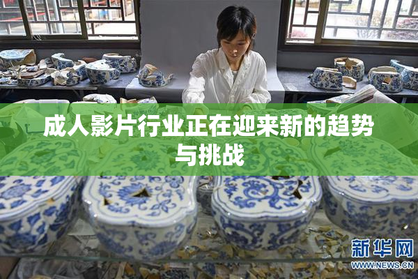 成人影片行业正在迎来新的趋势与挑战