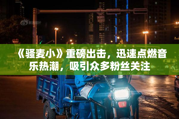 《骚麦小》重磅出击，迅速点燃音乐热潮，吸引众多粉丝关注