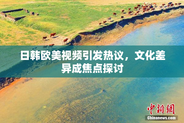 日韩欧美视频引发热议，文化差异成焦点探讨