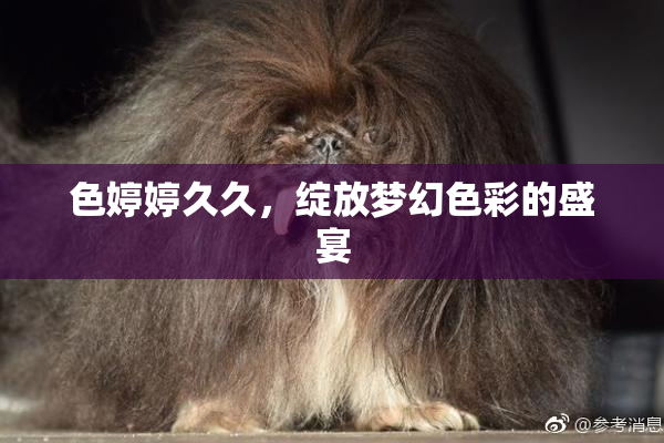 色婷婷久久，绽放梦幻色彩的盛宴