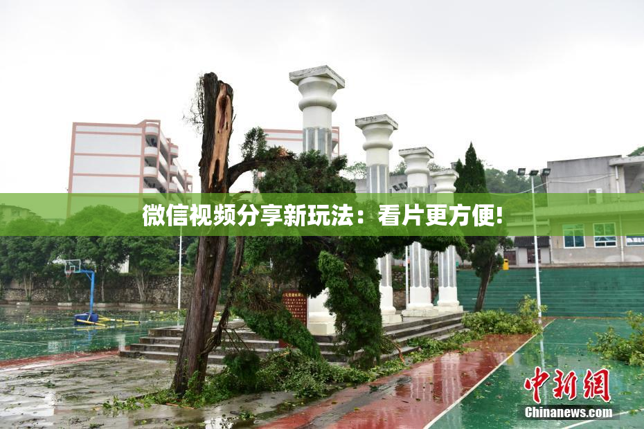 微信视频分享新玩法：看片更方便!