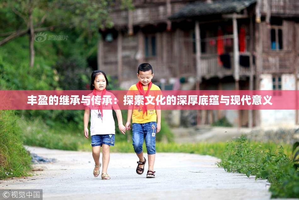 丰盈的继承与传承：探索文化的深厚底蕴与现代意义