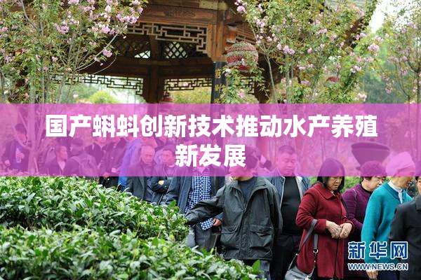 国产蝌蚪创新技术推动水产养殖新发展