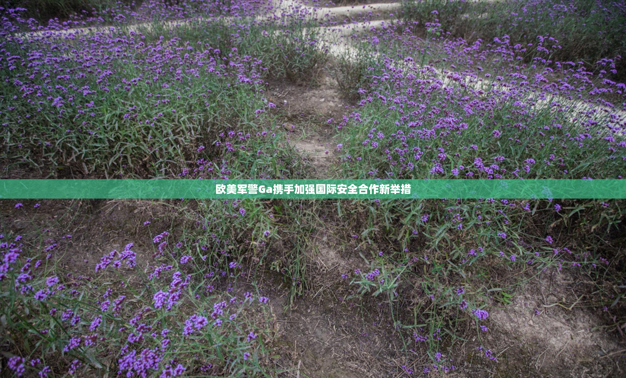 欧美军警Ga携手加强国际安全合作新举措
