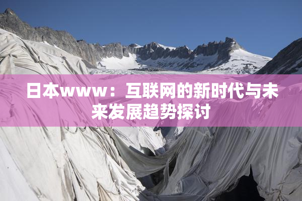 日本www：互联网的新时代与未来发展趋势探讨
