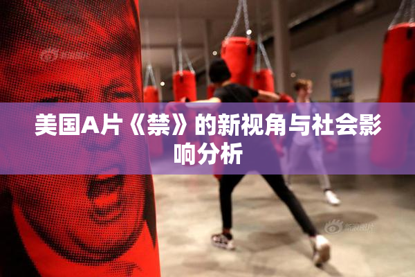 美国A片《禁》的新视角与社会影响分析