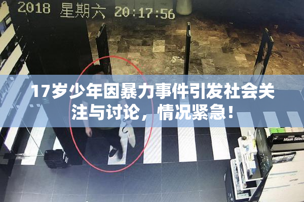 17岁少年因暴力事件引发社会关注与讨论，情况紧急！