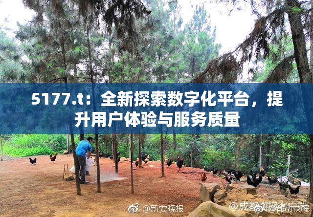 5177.t：全新探索数字化平台，提升用户体验与服务质量