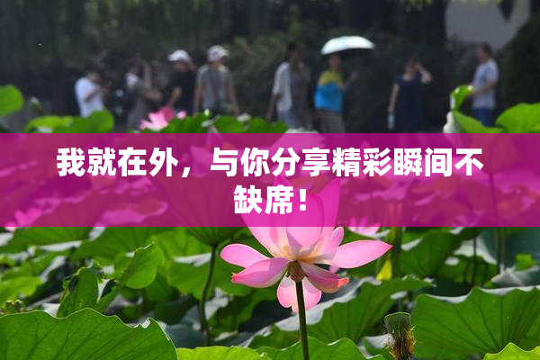 我就在外，与你分享精彩瞬间不缺席！