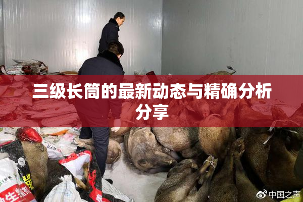 三级长筒的最新动态与精确分析分享