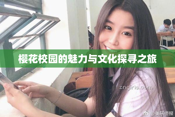 樱花校园的魅力与文化探寻之旅