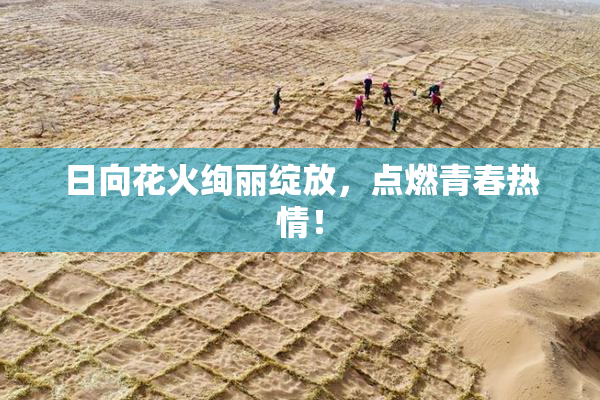 日向花火绚丽绽放，点燃青春热情！