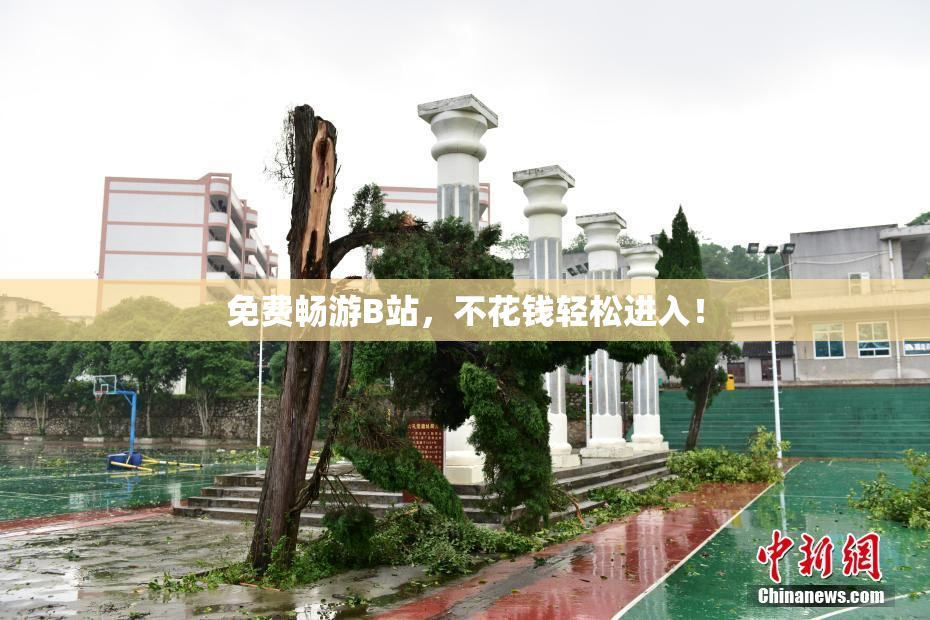 免费畅游B站，不花钱轻松进入！