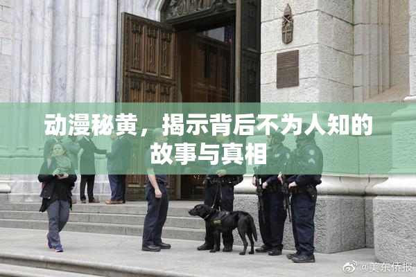 动漫秘黄，揭示背后不为人知的故事与真相