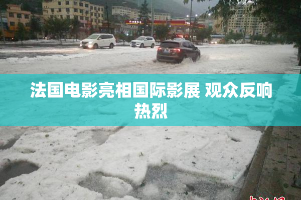 法国电影亮相国际影展 观众反响热烈