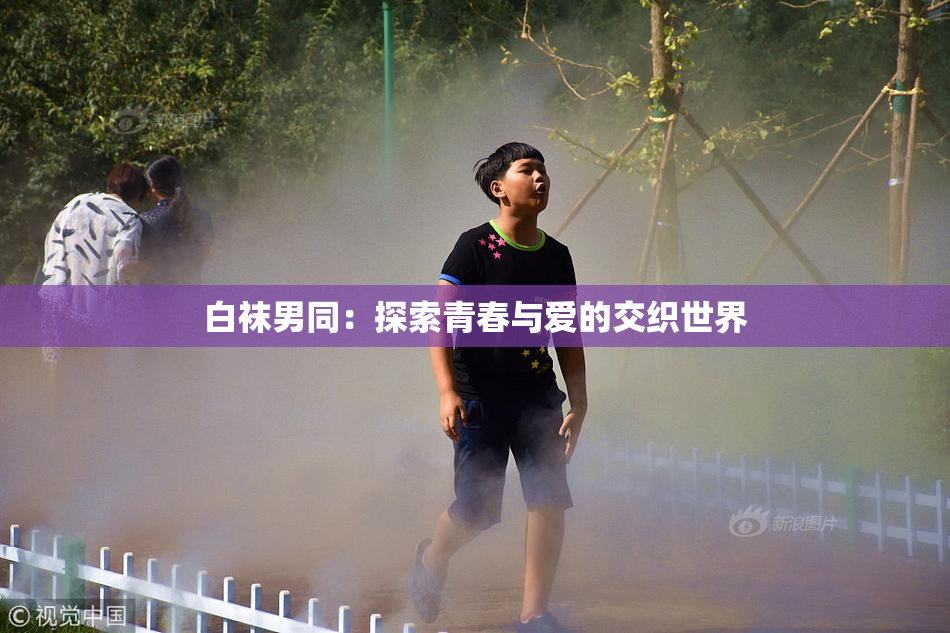 白袜男同：探索青春与爱的交织世界