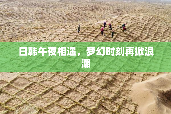 日韩午夜相遇，梦幻时刻再掀浪潮