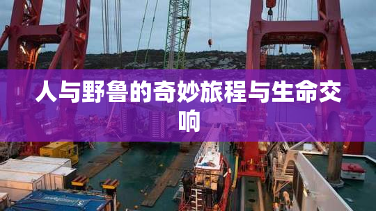 人与野鲁的奇妙旅程与生命交响