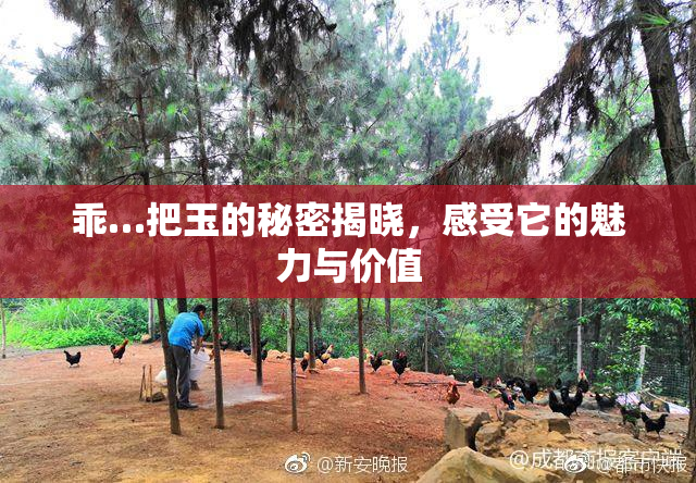 乖…把玉的秘密揭晓，感受它的魅力与价值
