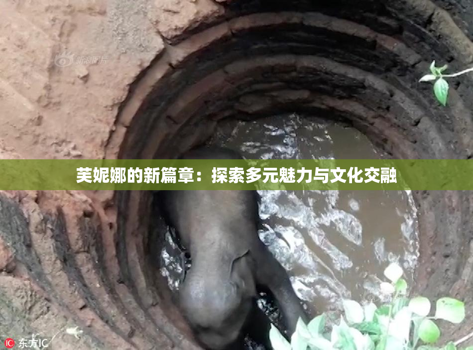 芙妮娜的新篇章：探索多元魅力与文化交融